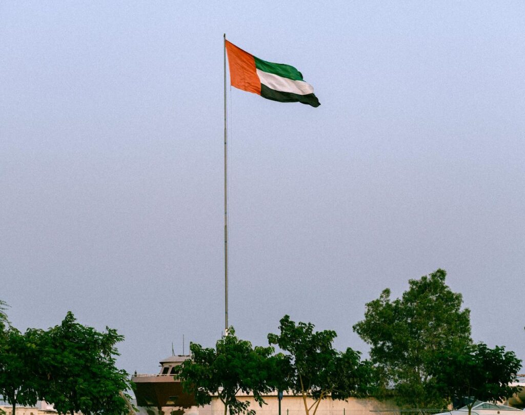 Picture of Arabia flag.